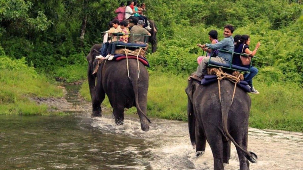 Dooars Elephant Jungle Safari
